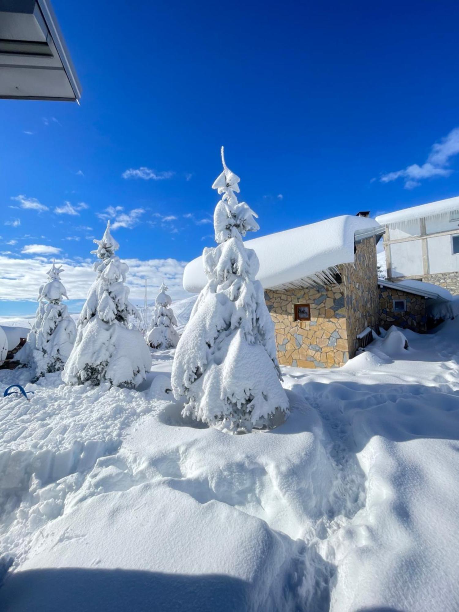 Villa 80 Kodra E Diellit Тетово Экстерьер фото
